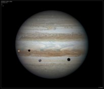 Damien Peach Jupiter